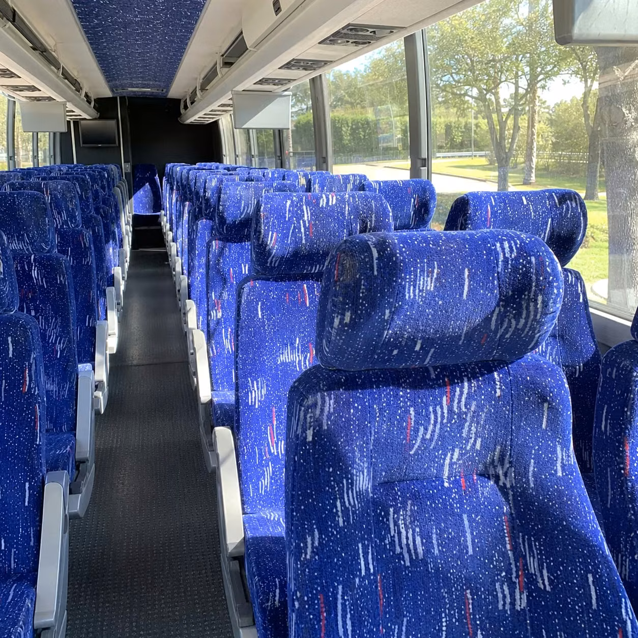 clearwater marine aquarium field trips made easy with charter bus transportation