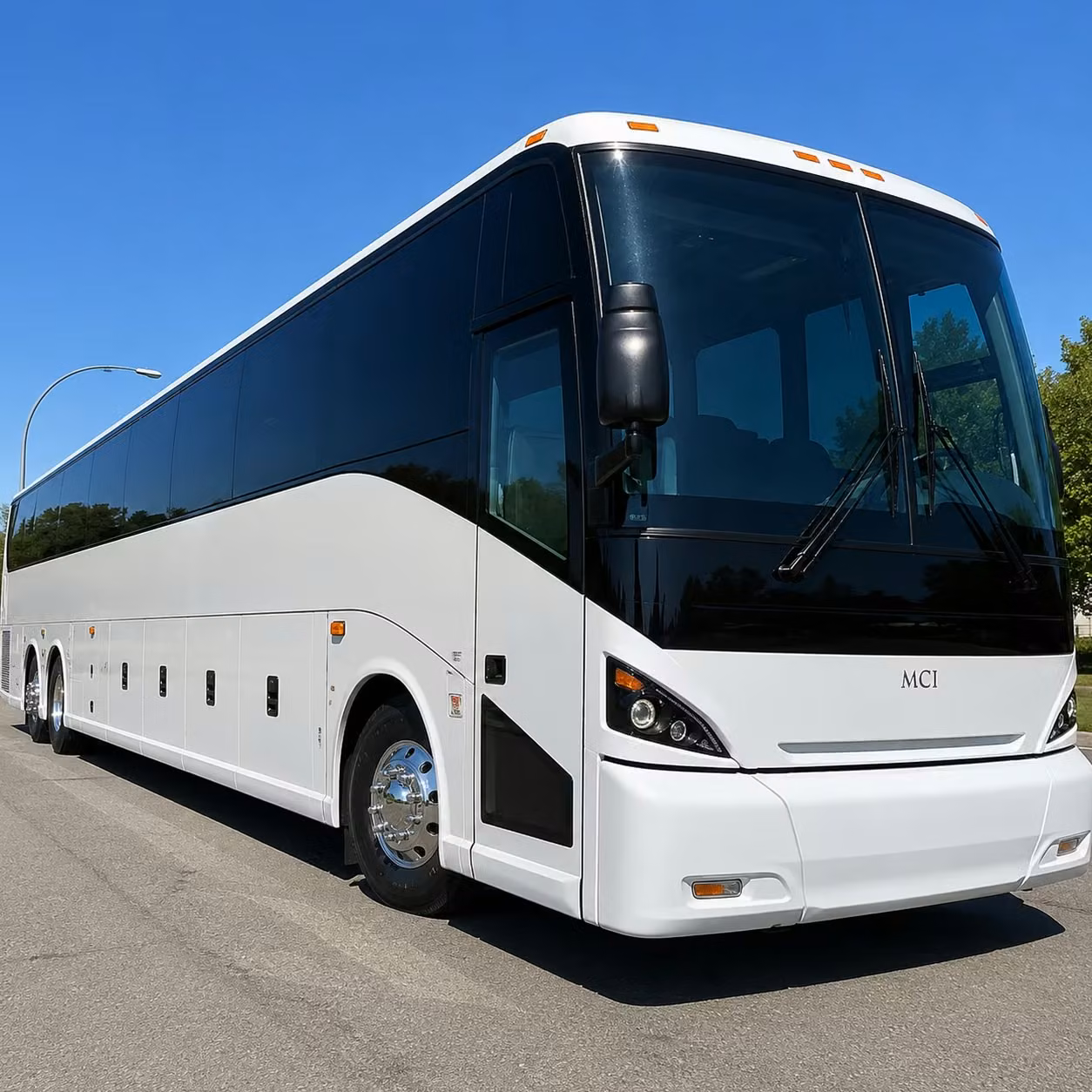 cruise transfer shuttle buses from clearwater to porttampa bay